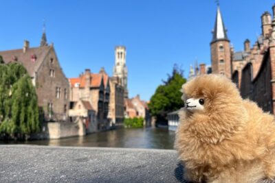 Belgium in a Private Day Antwerp Atomium Brussels with Tastings - Antwerp Morning: Medieval Streets and Artisan Chocolate