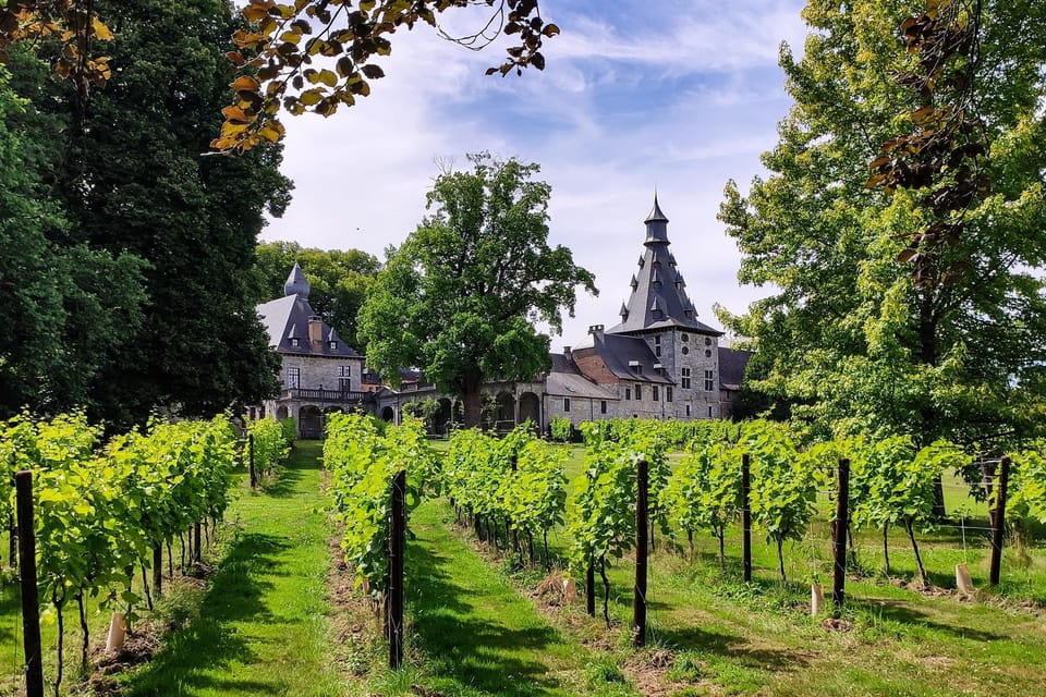 Bioul (near Dinant) : Château de Bioul Tour and Wine Tasting - Key highlights you’ll care about