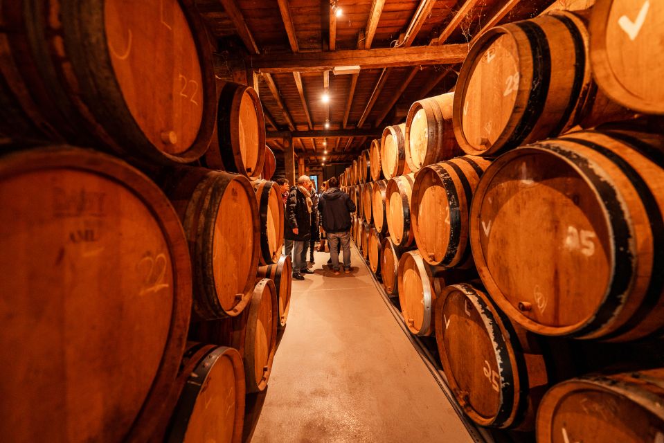 Brussels: Discover Belgium's Breweries with a Local - The chocolate store start: sweet flavors that make beer make sense