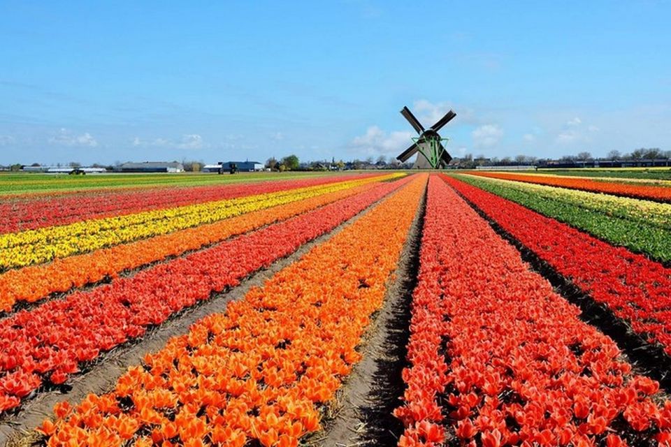 Brussels: Keukenhof, Tulips, and Delft Day Trip - Key Things to Know Before You Go