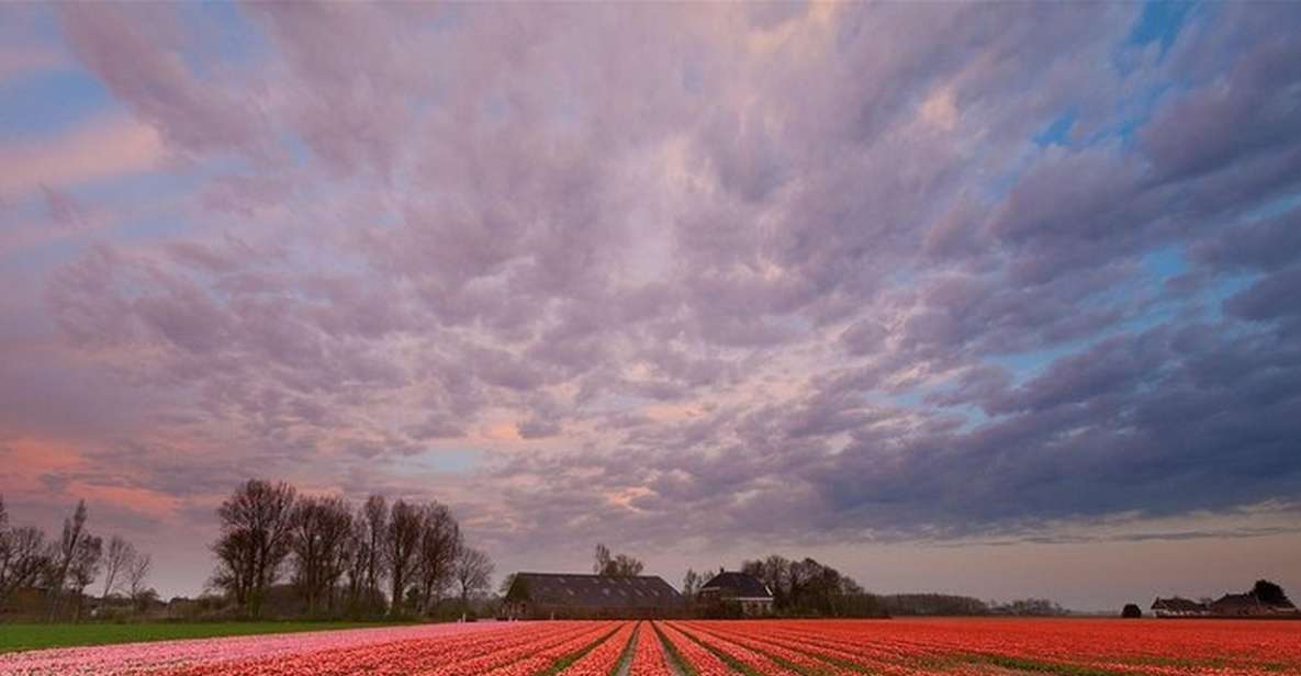 Brussels: Keukenhof, Tulips, and Delft Day Trip - Keukenhof: The Tulip Fix You Came For