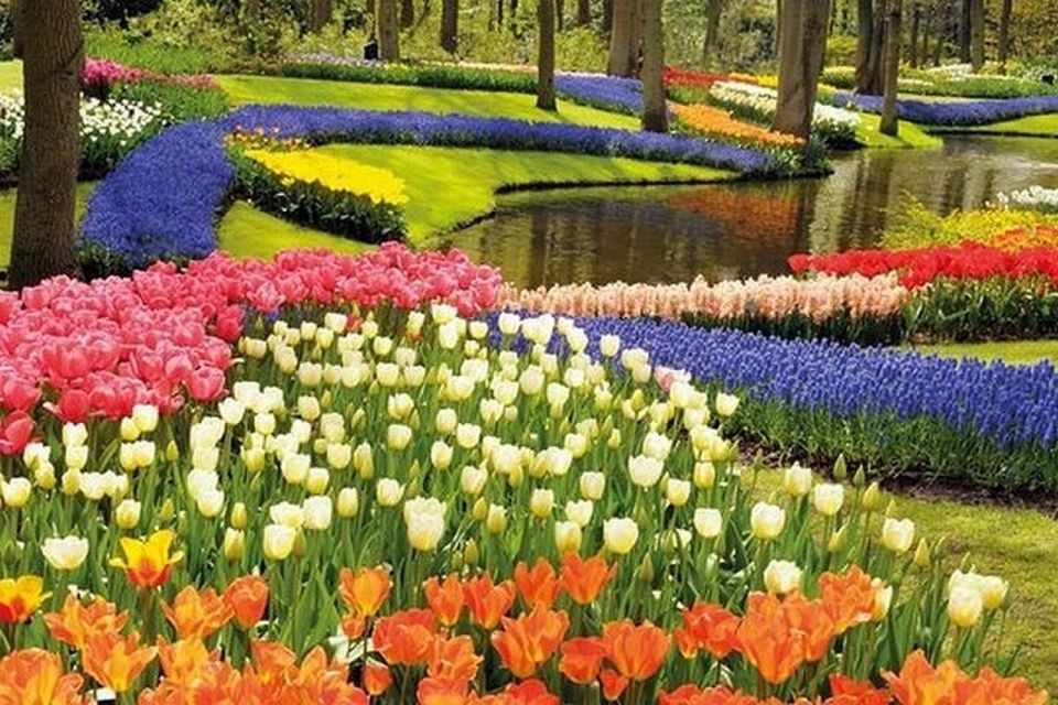 Brussels: Keukenhof, Tulips, and Delft Day Trip - Price and Logistics: Is $789 Good Value?