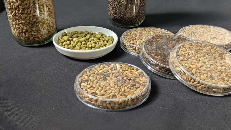 Brussels: micro brewery & distillery tour + beer tasting - Price and Value: What $28 Buys in One Hour