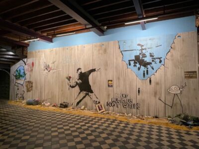 Brussels: The World of Banksy Museum Permanent Exhibition - Ticket Value: What $16 Really Buys for One Day