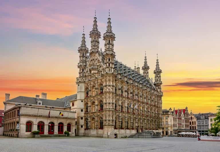 Historical Leuven: Private Walking Tour with a Local Guide - When 90 minutes is all you have: why this tour works