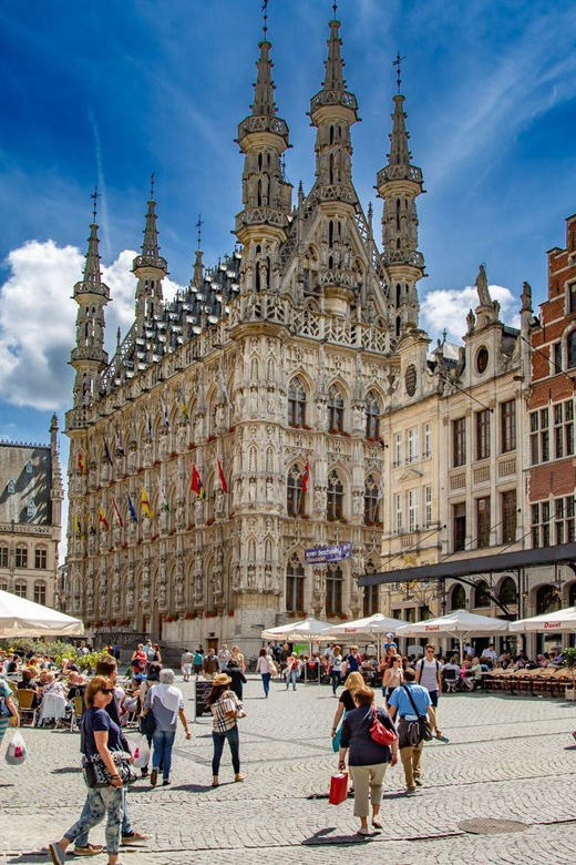Historical Leuven: Private Walking Tour with a Local Guide - What’s included (and what you’ll need to plan)