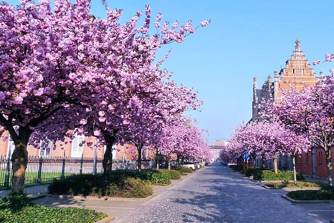 Private Hidden Gems Walking Tour in Ghent - Timing: how the 3 hours usually feels
