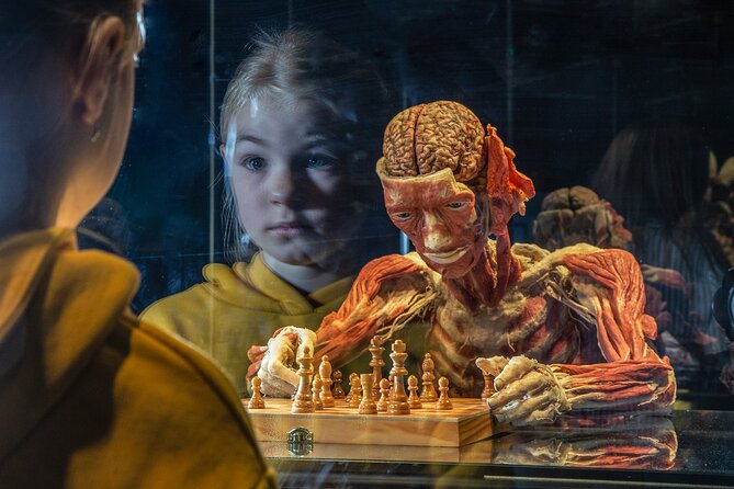 Ticket Expo Body Worlds in Bruges, Belgium - Key things to know before you go