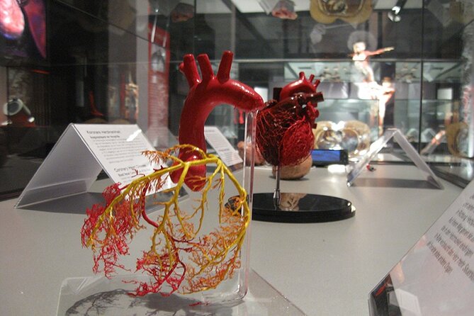 Ticket Expo Body Worlds in Bruges, Belgium - Where this fits in your Bruges day (and how to pace it)