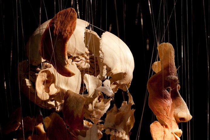 Ticket Expo Body Worlds in Bruges, Belgium - Who should go (and who might skip it)